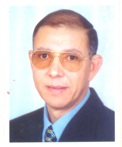 Mohamed Elsaied Roushdy Shaheen 